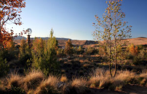 Beaumont Recreation Trail