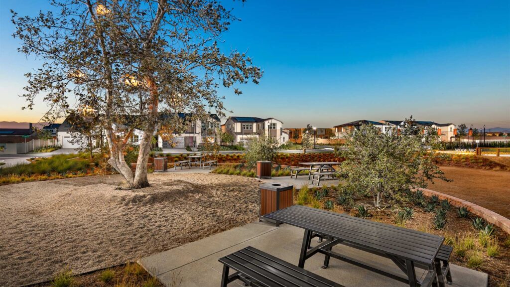 Landscaping with tree and sand.